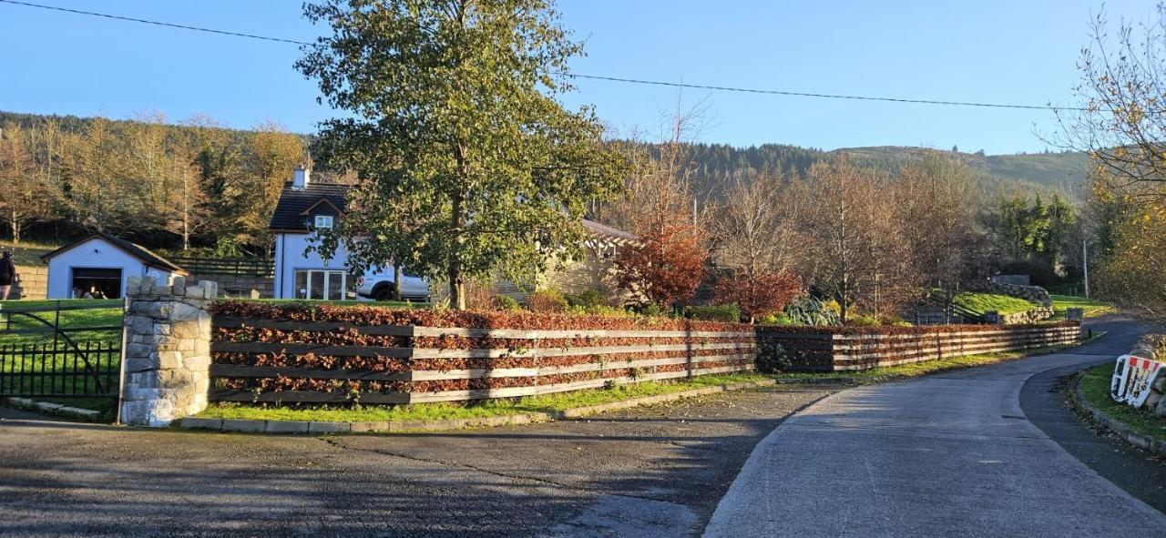 Rostrevor Valley House -Mountainside Hot Tub View نيوري المظهر الخارجي الصورة